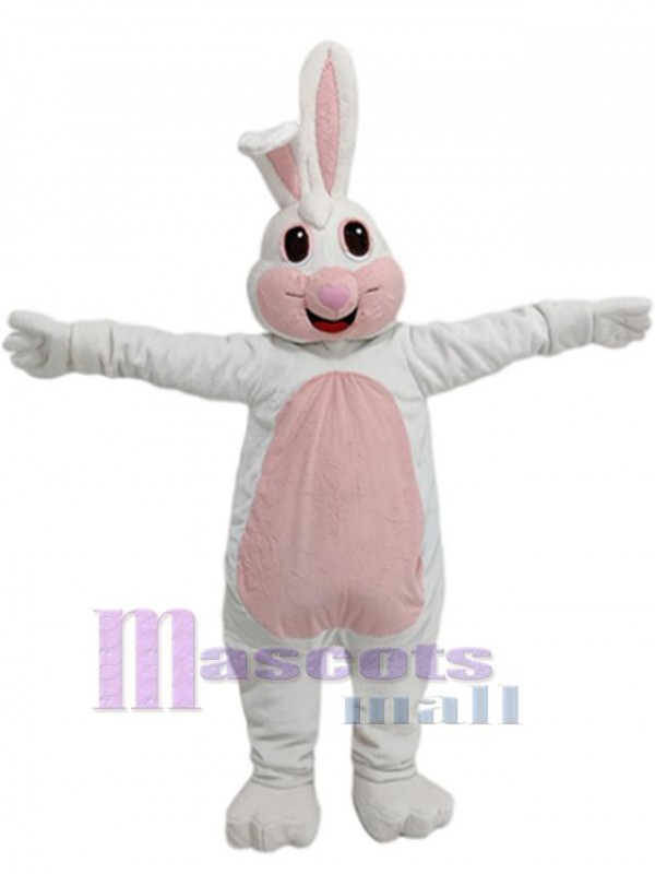 Lapin costume de mascotte