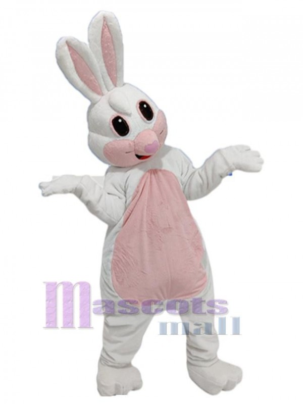 Lapin costume de mascotte