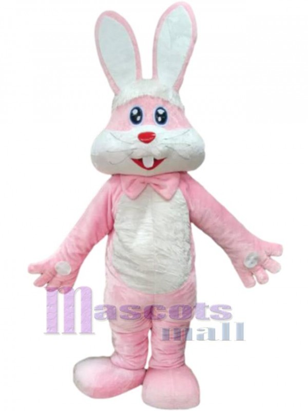 Lapin costume de mascotte