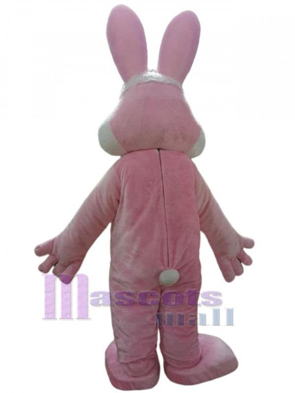Lapin costume de mascotte