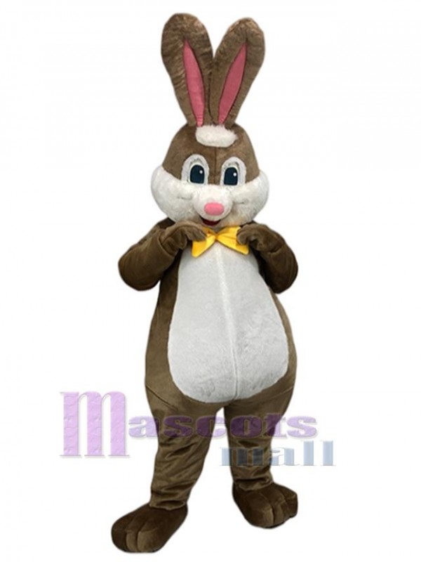 Lapin costume de mascotte