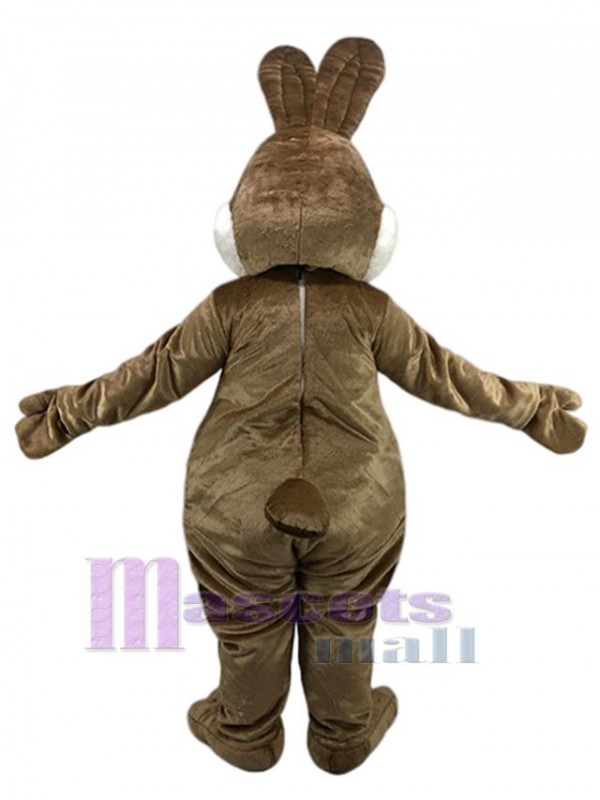 Lapin costume de mascotte