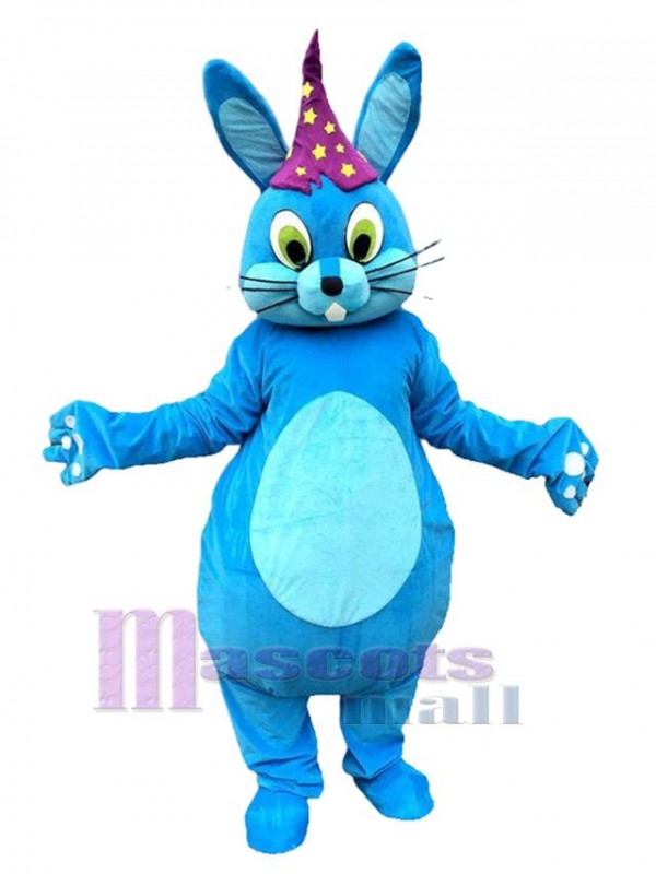 Lapin costume de mascotte