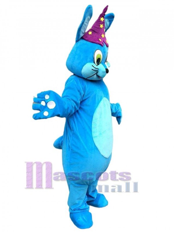 Lapin costume de mascotte