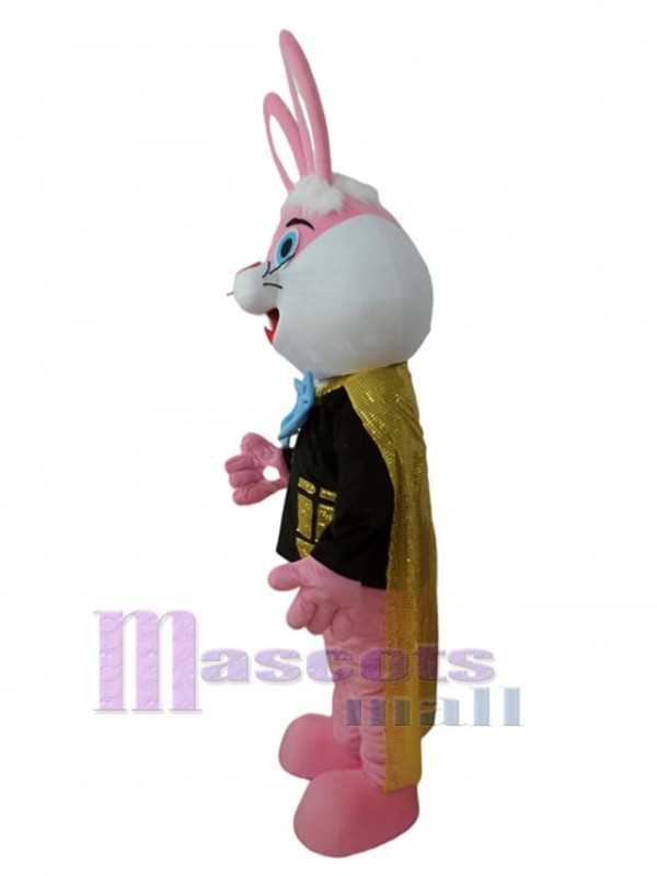Lapin costume de mascotte