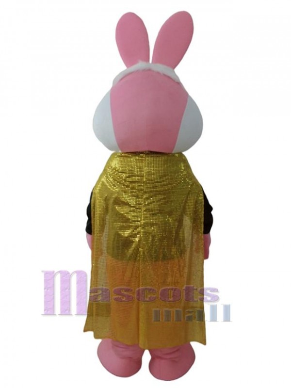 Lapin costume de mascotte