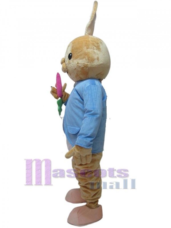 Lapin costume de mascotte