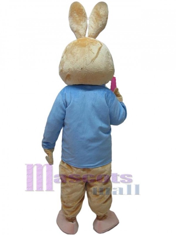 Lapin costume de mascotte