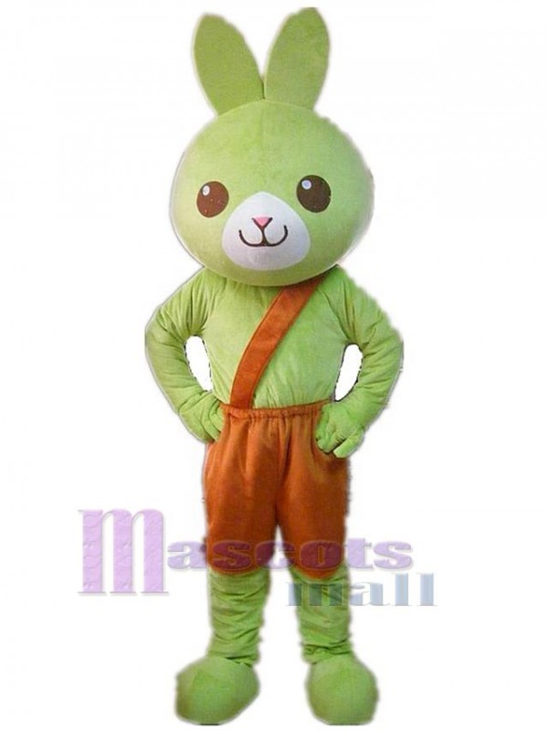 Lapin costume de mascotte
