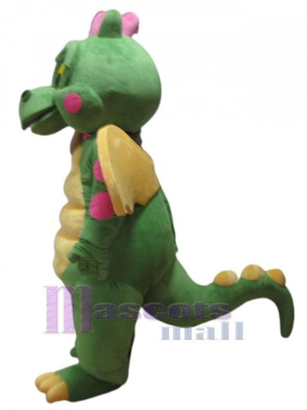 Dragon costume de mascotte