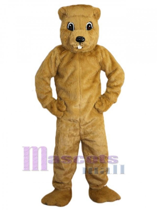 Gopher costume de mascotte