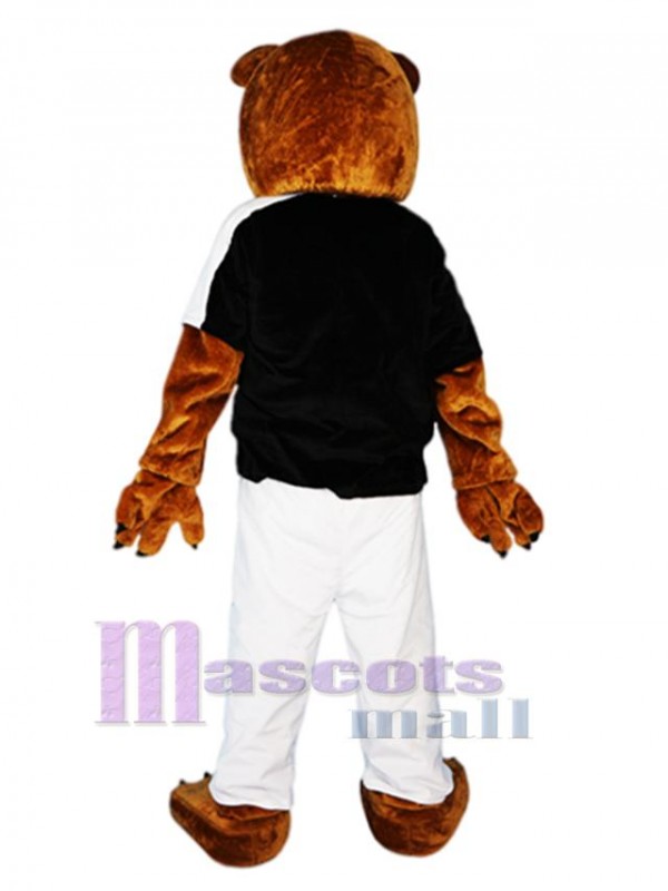 Ours costume de mascotte