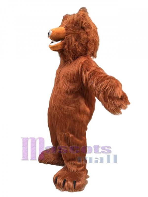 Ours costume de mascotte