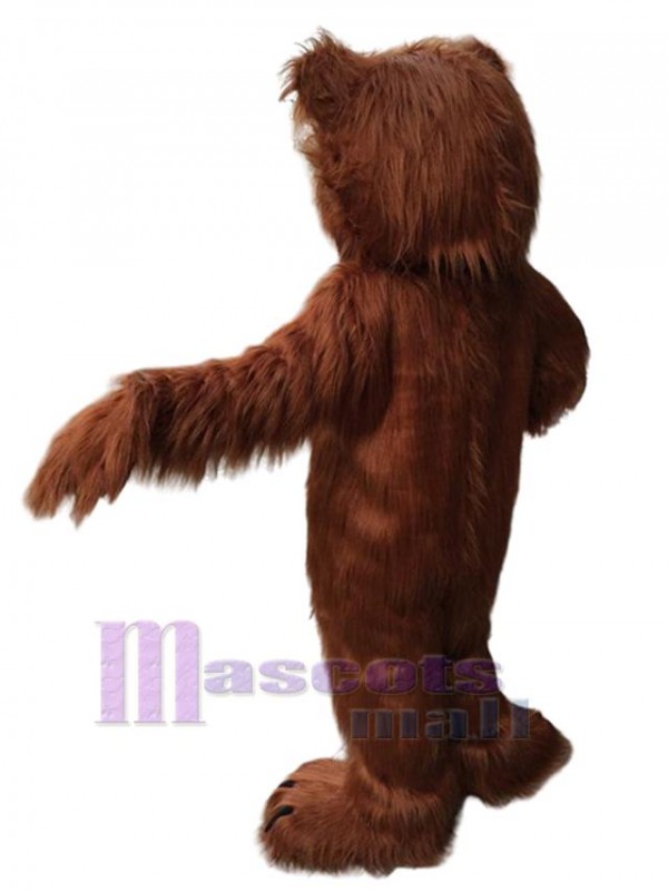 Ours costume de mascotte