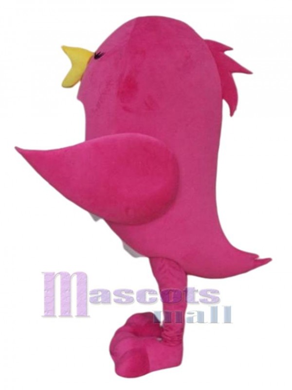 Oiseau costume de mascotte