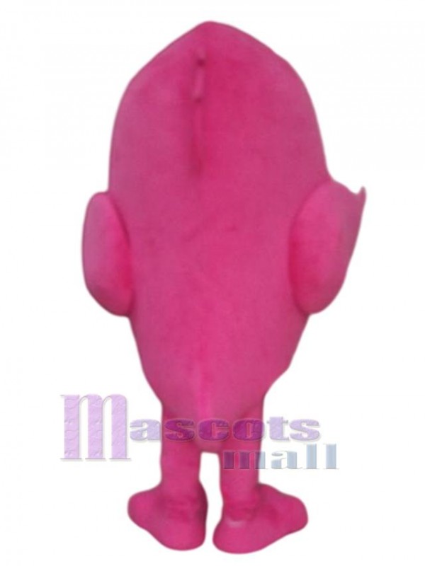 Oiseau costume de mascotte