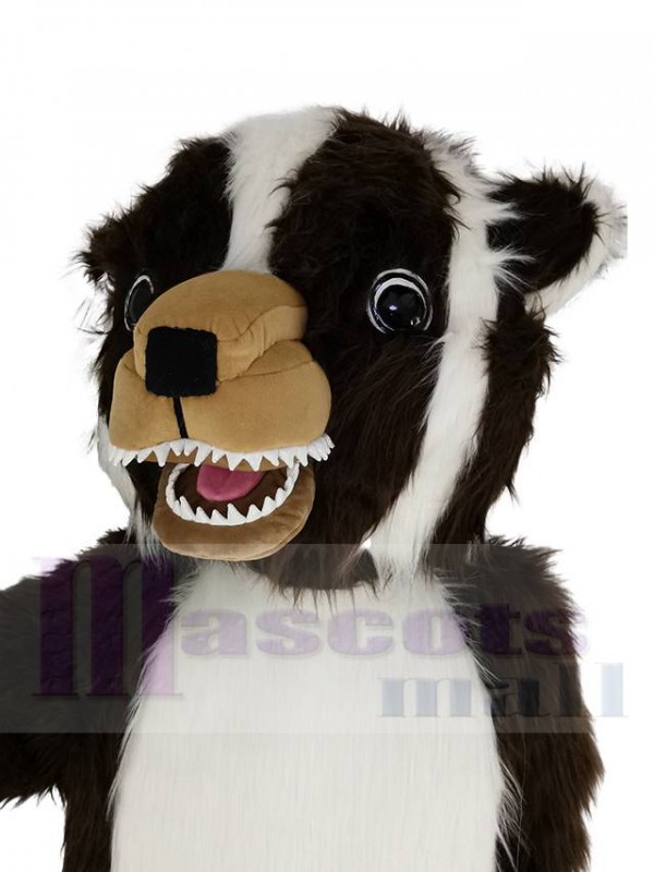 Blaireau costume de mascotte