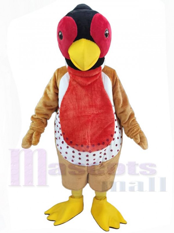 Faisan costume de mascotte