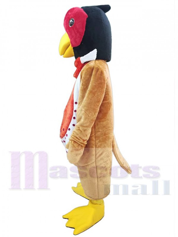 Faisan costume de mascotte
