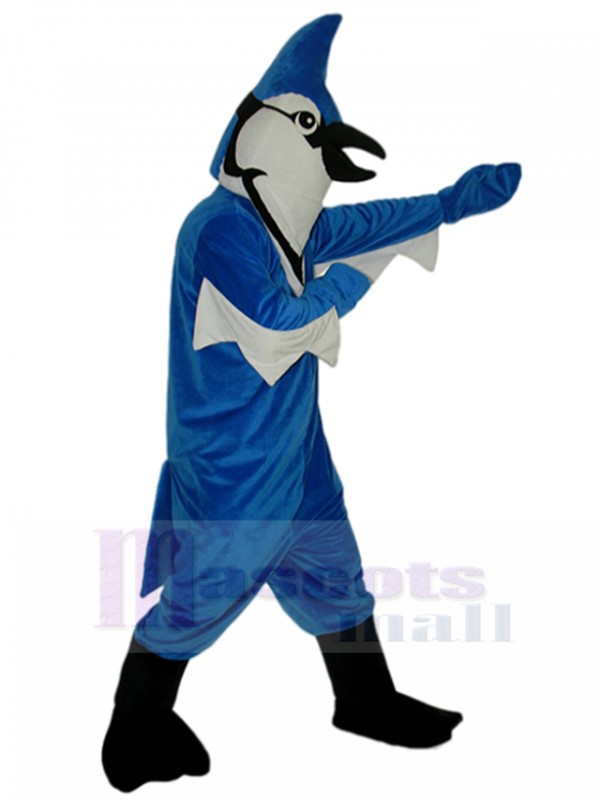 Oiseau costume de mascotte