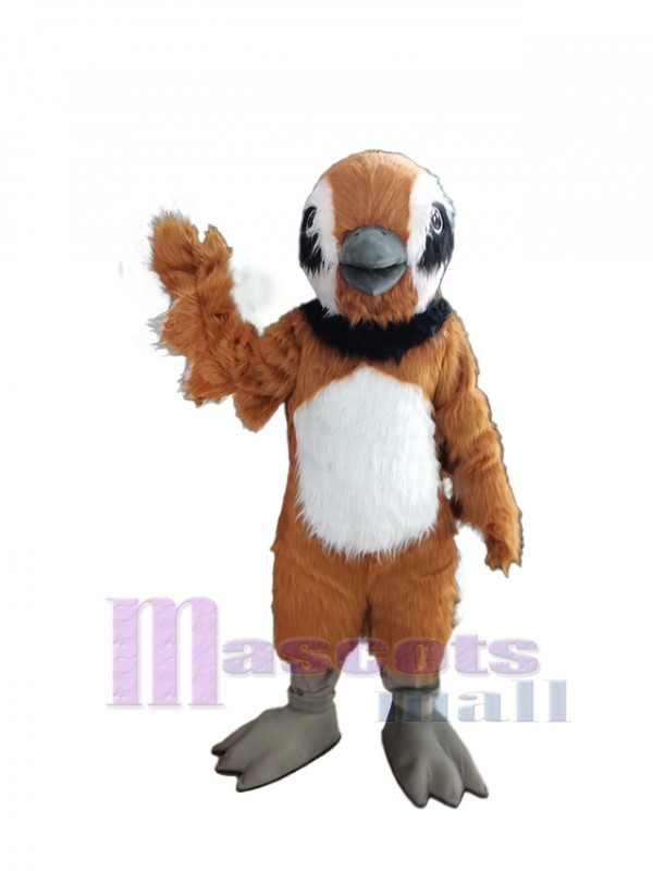 Oiseau de caille costume de mascotte