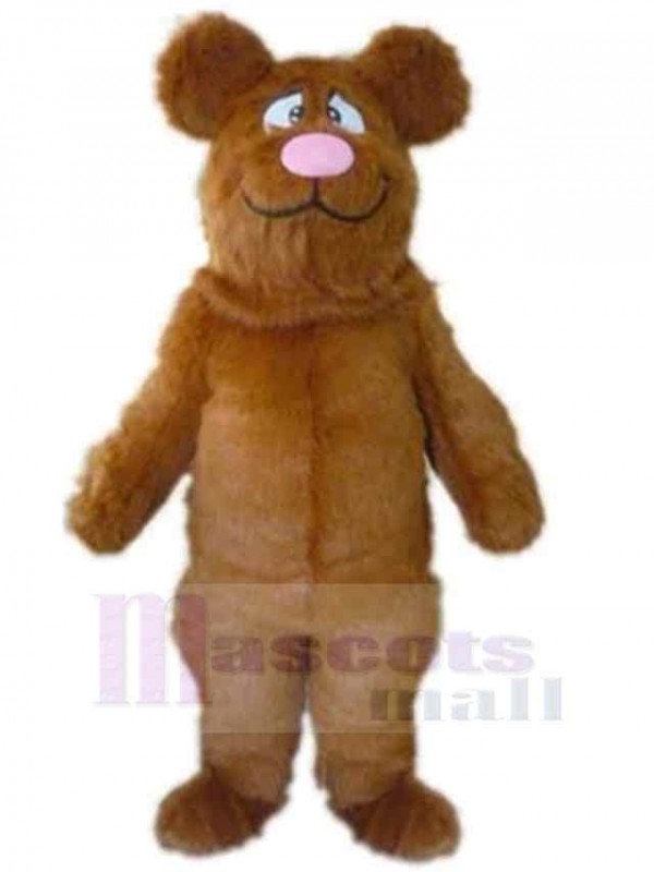 Ours costume de mascotte