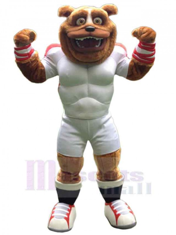 Ours costume de mascotte