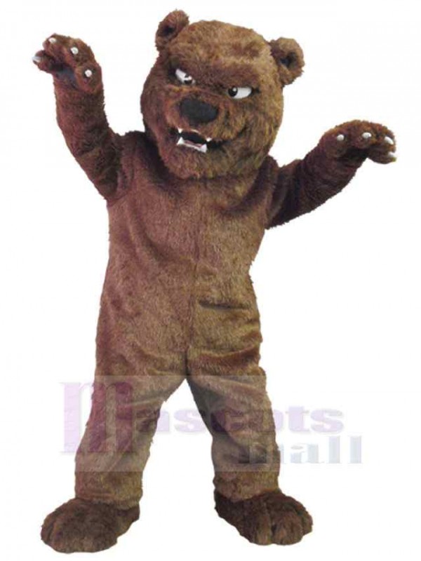 Ours costume de mascotte