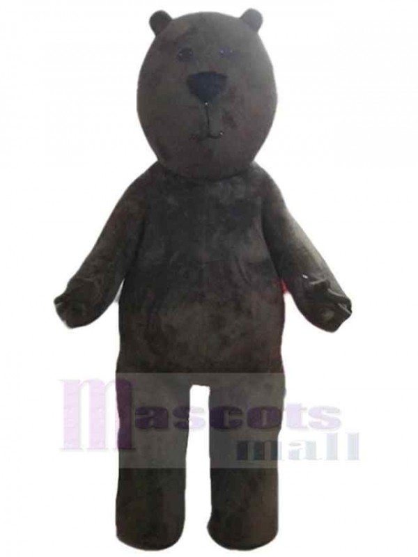 Ours costume de mascotte