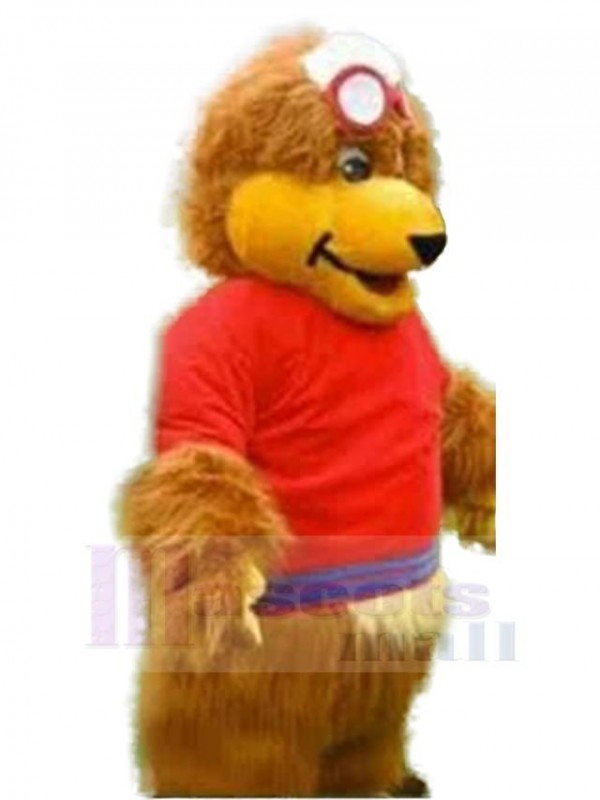 Ours costume de mascotte