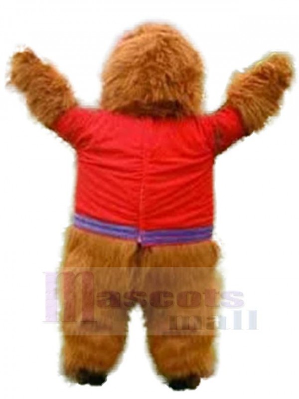 Ours costume de mascotte