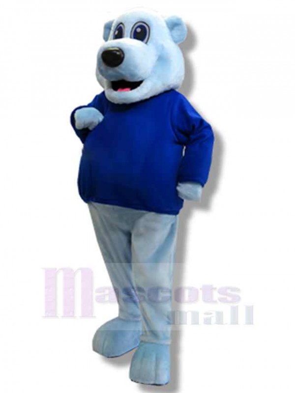 Ours costume de mascotte