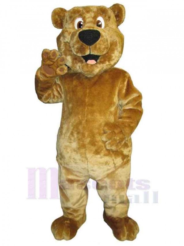 Ours costume de mascotte