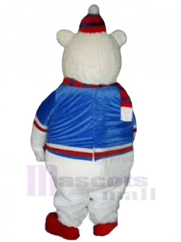 Ours costume de mascotte