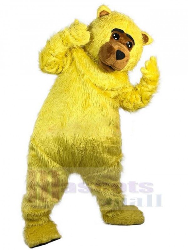 Ours costume de mascotte