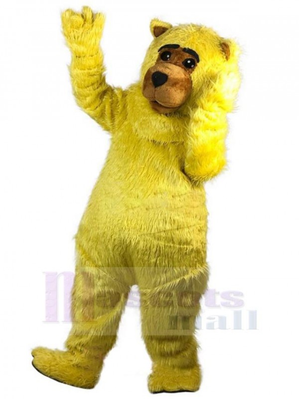 Ours costume de mascotte