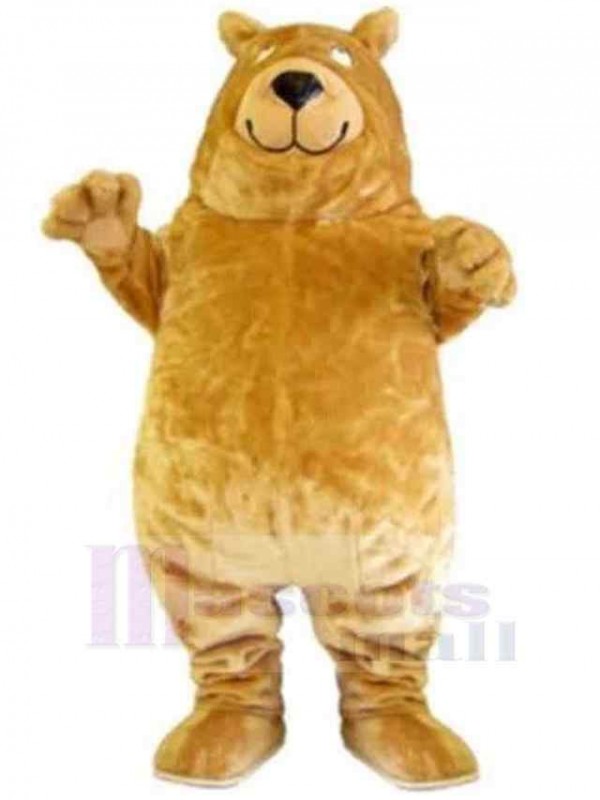 Ours costume de mascotte