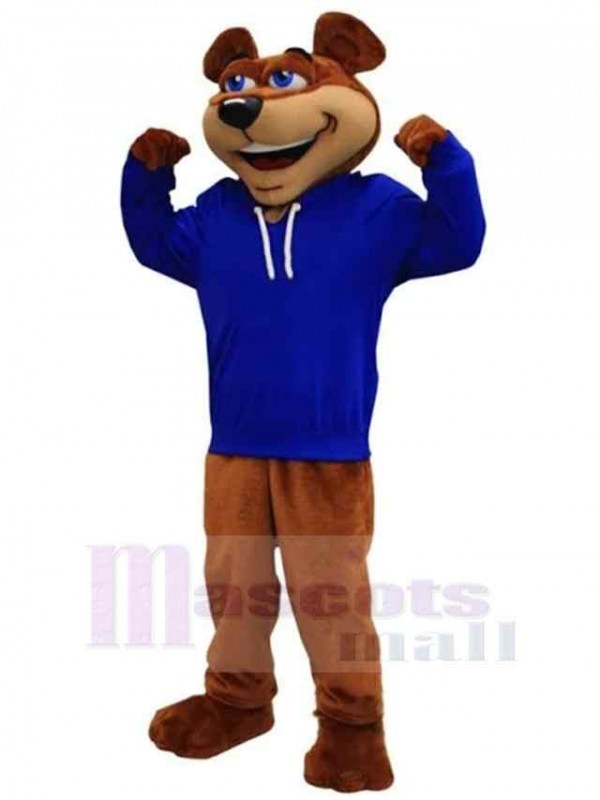 Ours costume de mascotte