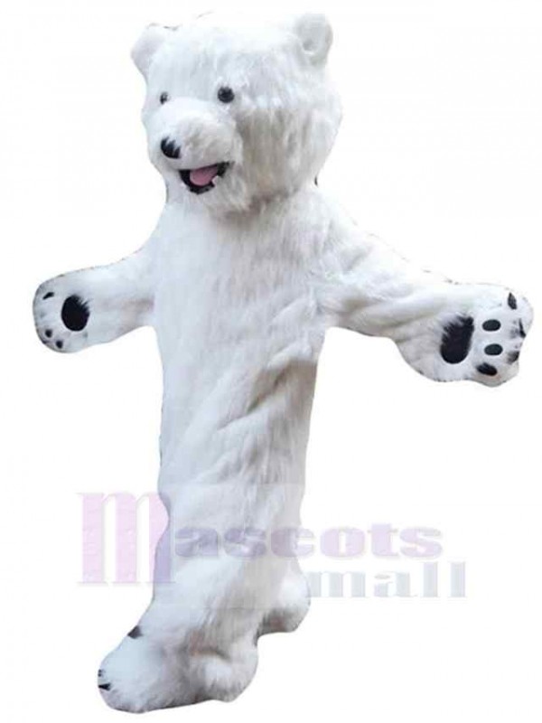 Ours costume de mascotte