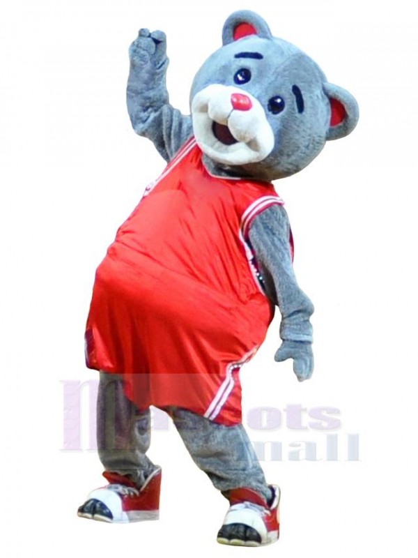 Ours costume de mascotte