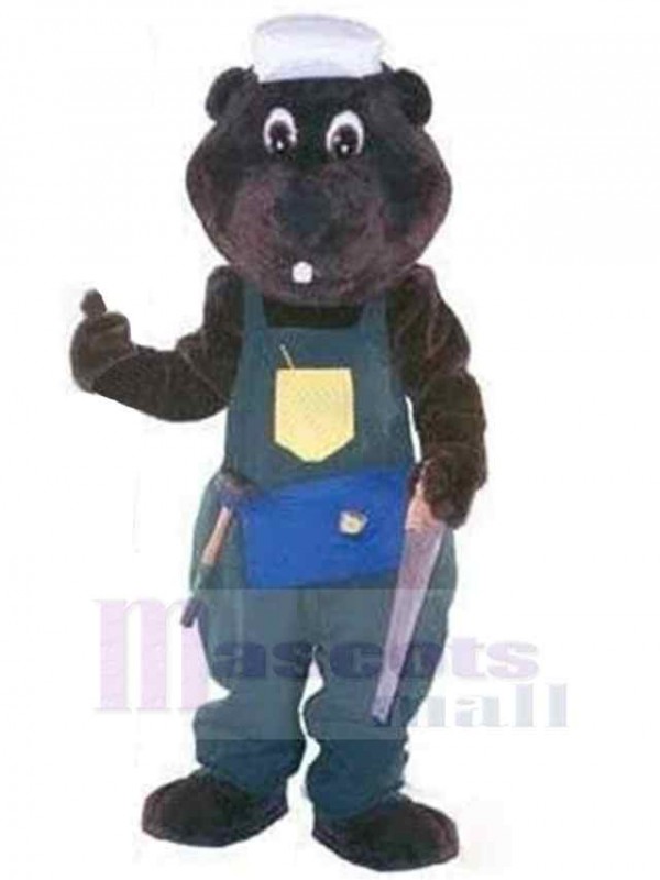 Ours costume de mascotte