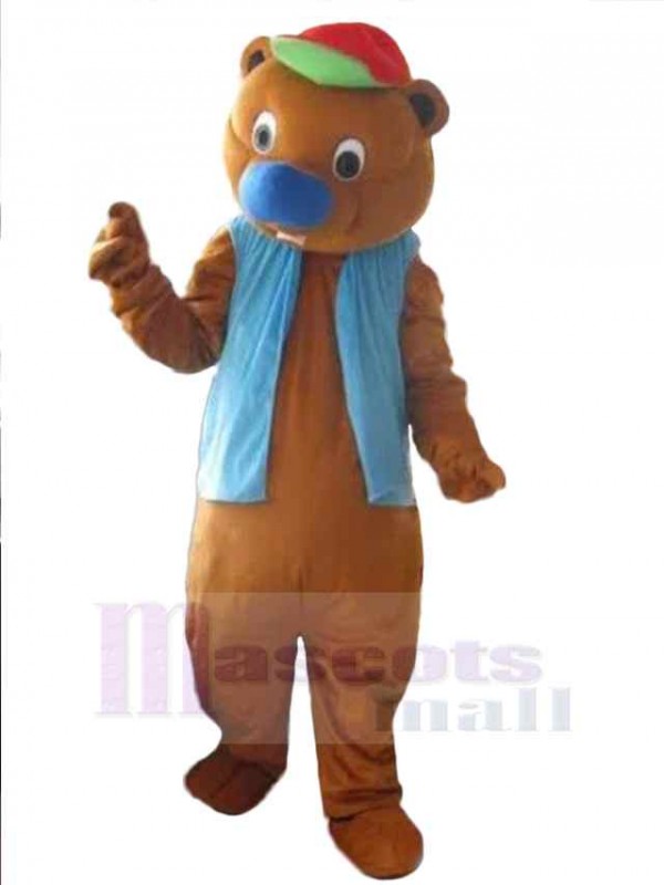 Ours costume de mascotte