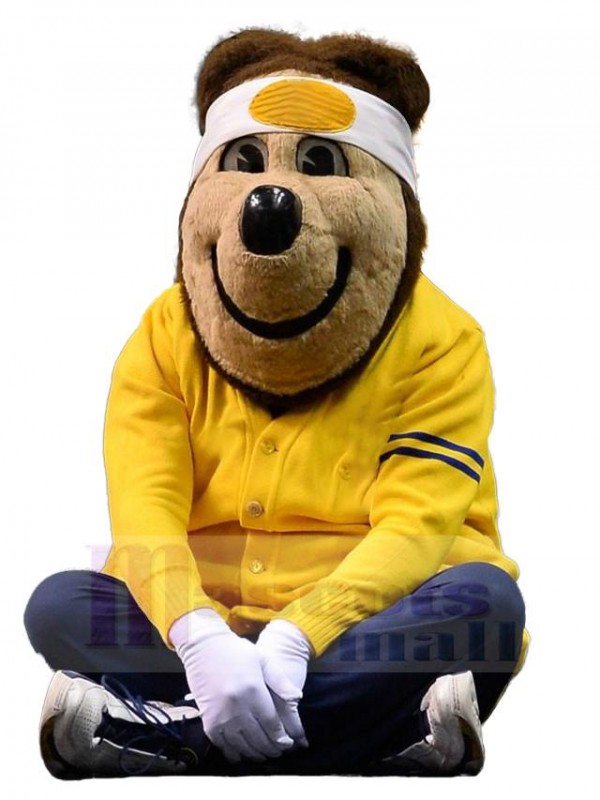 Ours costume de mascotte