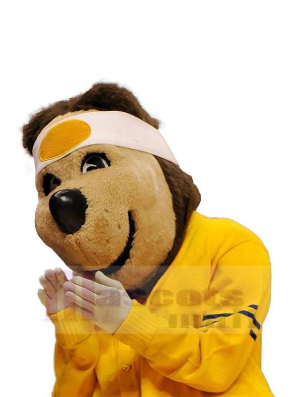 Ours costume de mascotte