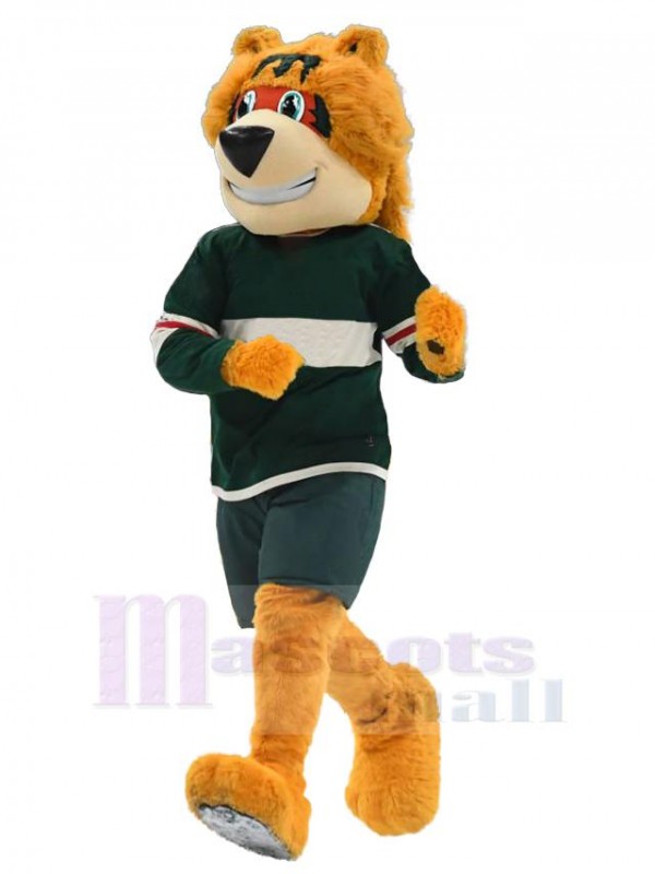 Ours costume de mascotte