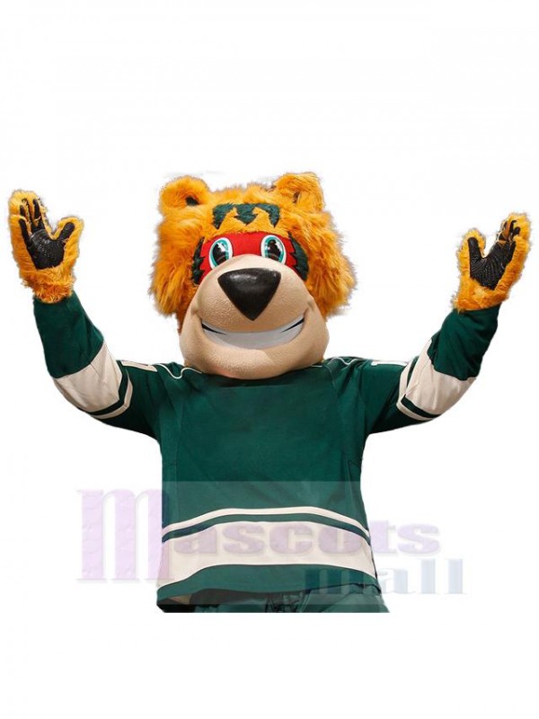 Ours costume de mascotte