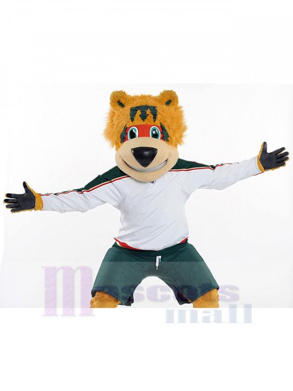 Ours costume de mascotte