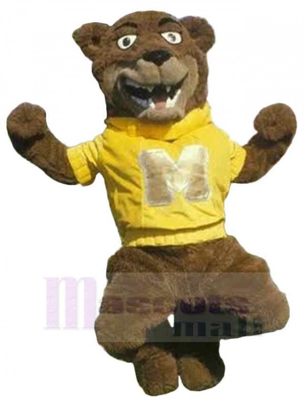 Ours costume de mascotte