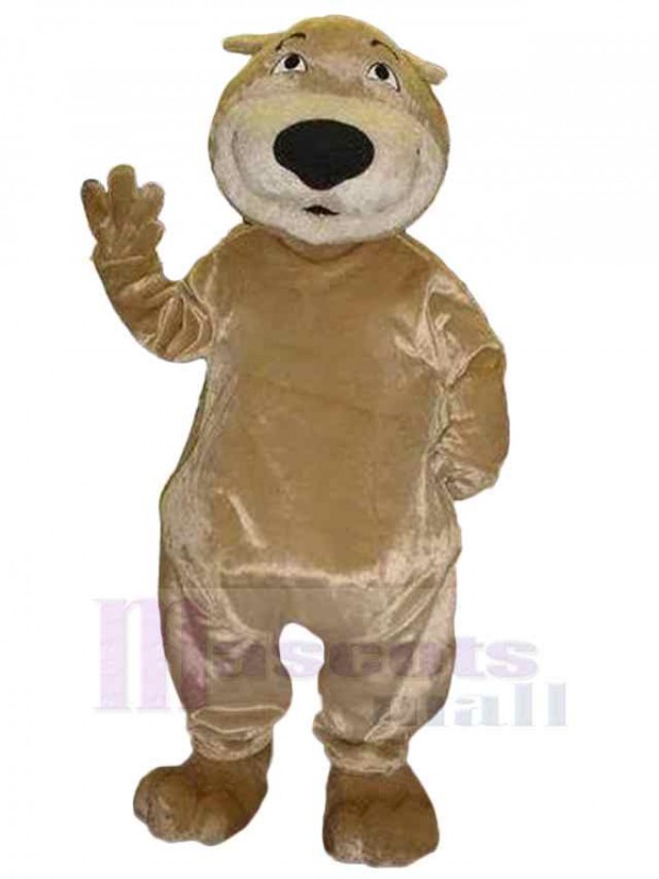 Ours costume de mascotte