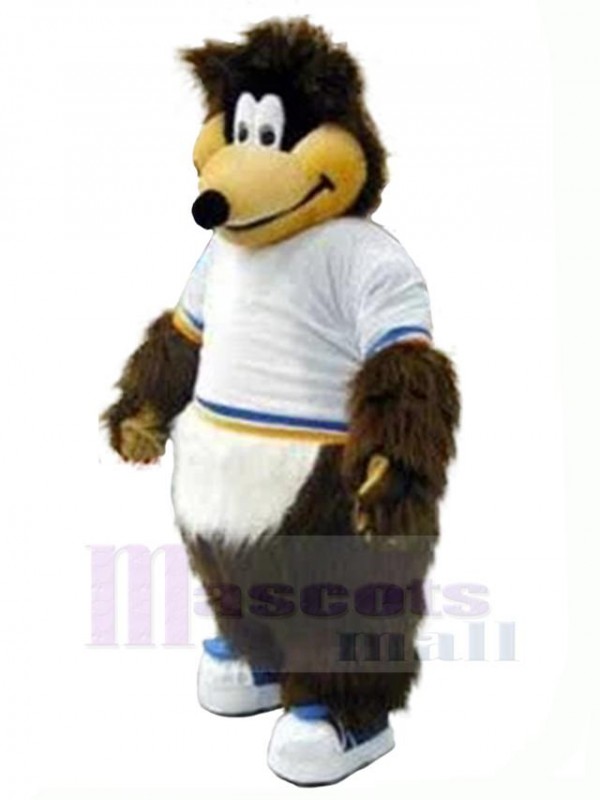 Ours costume de mascotte